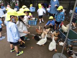 移動動物園