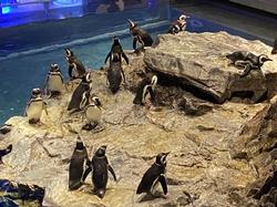 すみだ水族館