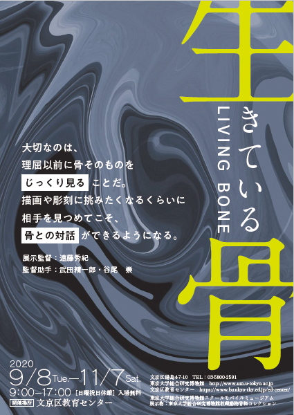 「生きている骨」展チラシ画像