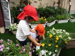 自然体験（4歳児）