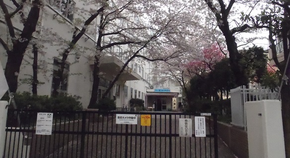 文京区立根津小学校