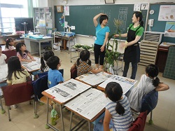 とうもろこしって、こんなに背が高いよ。 とうもろこしって、こんなに背が高いよ。