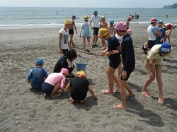 浜のゴミ拾いをしています 浜のゴミ拾いをしています