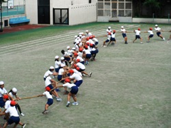 赤白どんな作戦で引っ張りますか?