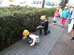 白山通りの歩道の植え込みのゴミも拾っています
