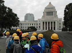 国会議事堂の荘厳な姿に圧倒されます