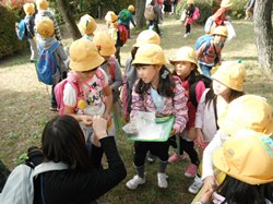松の葉ですもうをしました・・・どっちが強いかな?