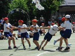 力合わせて棒を引っ張ります