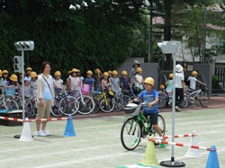 交差点では青信号でも一度止まって右左を確認します