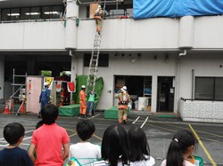 三段のはしごを伸ばして、2階に進入して救助する訓練です