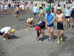 「来た時よりもきれいに」を合言葉に、海に入る前にはごみ拾いをします