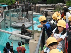 動物たちの動きを見ていると、いつまでも目が離せません