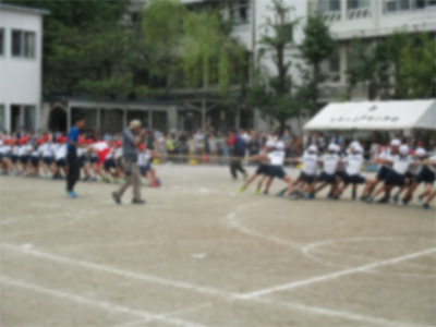 運動会（5年生）