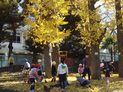 秋：黄色いじゅうたんがいっぱい